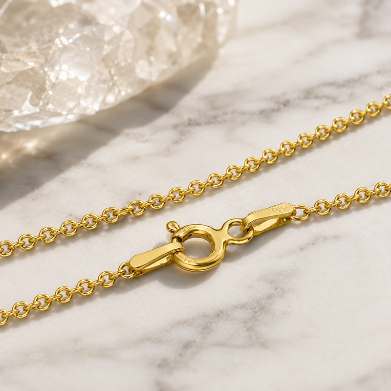 18K Gold-Plated Sterling Silver Rollo Chain Necklace